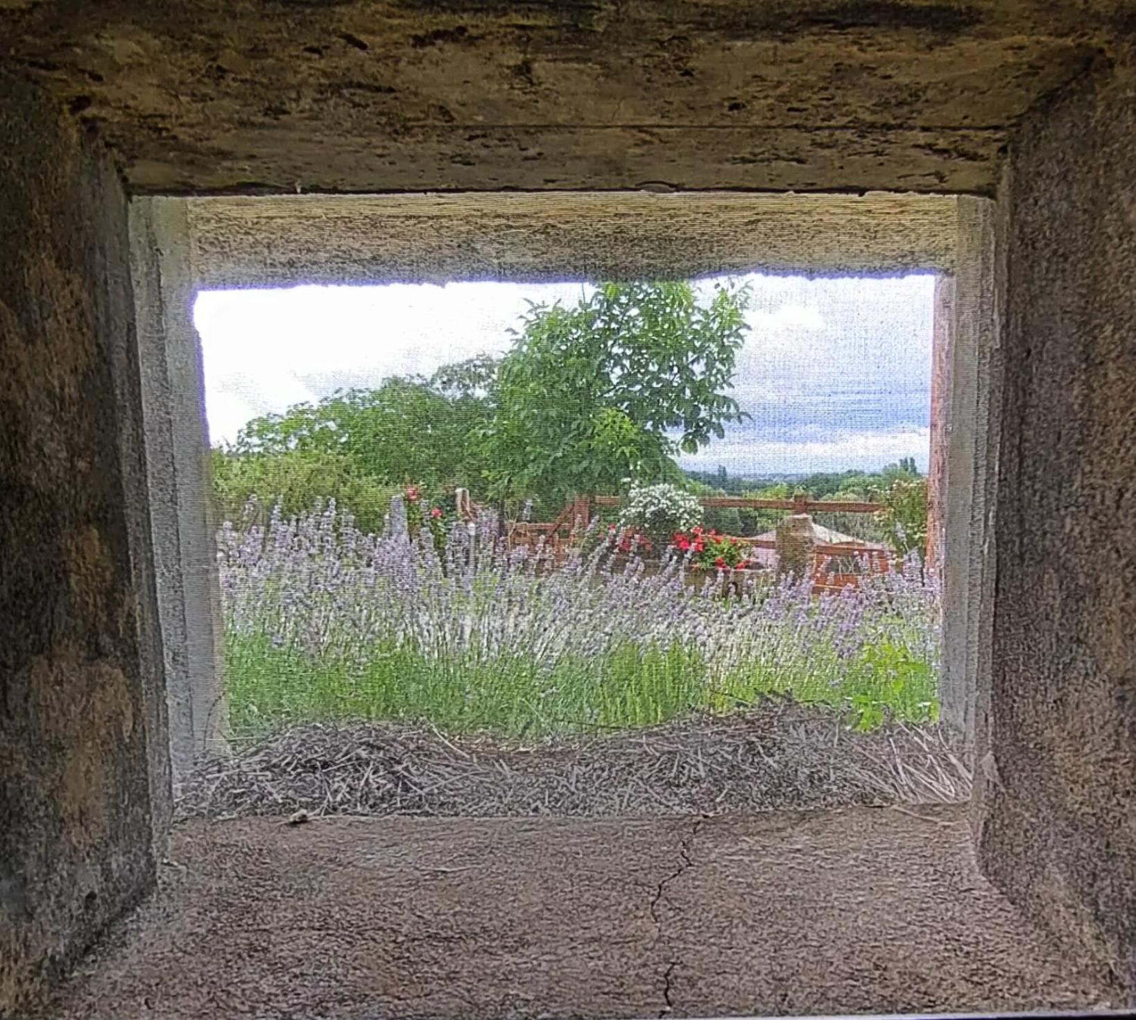 Au Bunker 67 Otel Rott Dış mekan fotoğraf